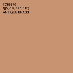 #C89370 - Antique Brass Color Image